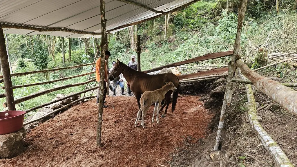 A life with dignity: fresh water, green space and plenty of care
