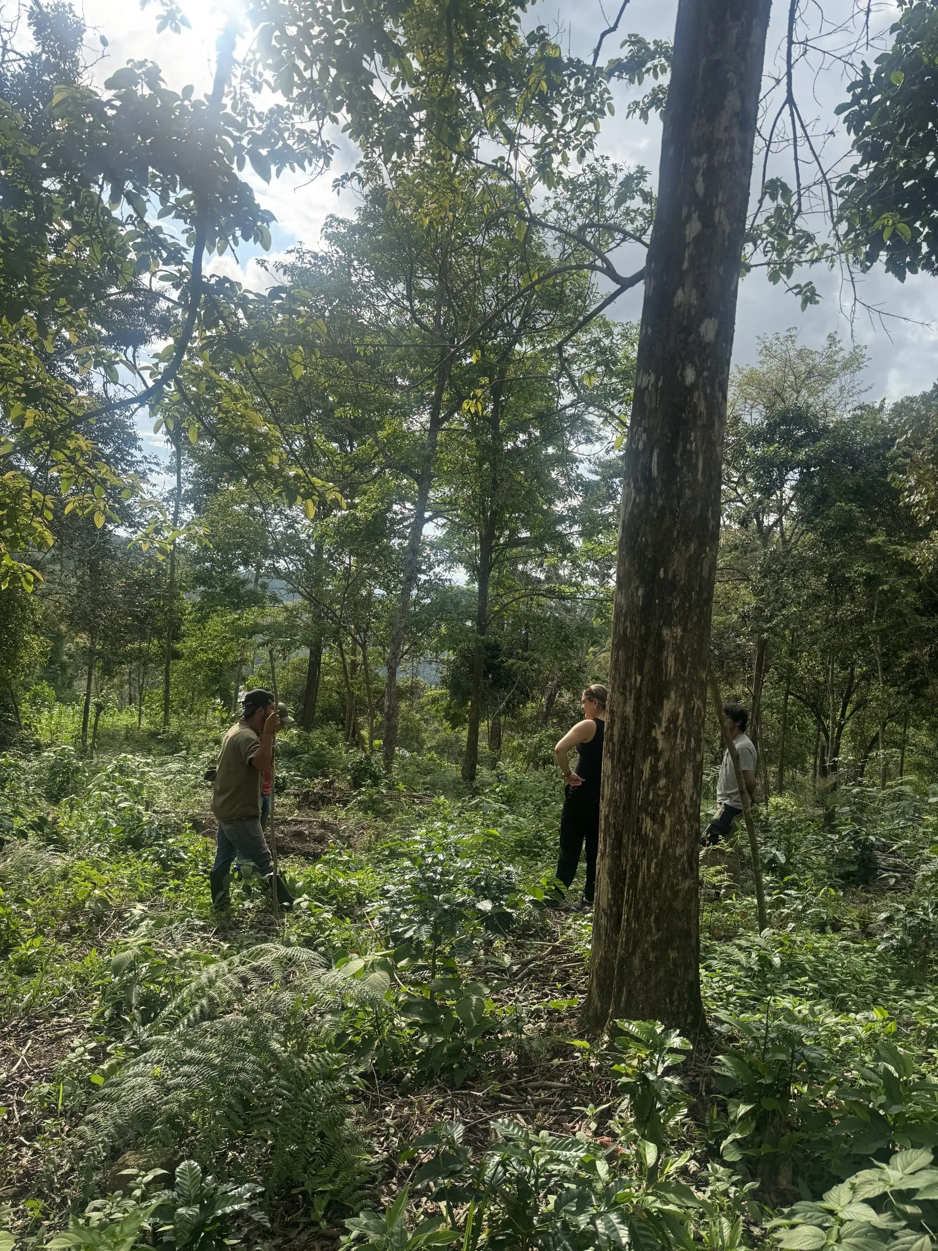 El territorio de Naturconexión en Nilo, Cundinamarca
