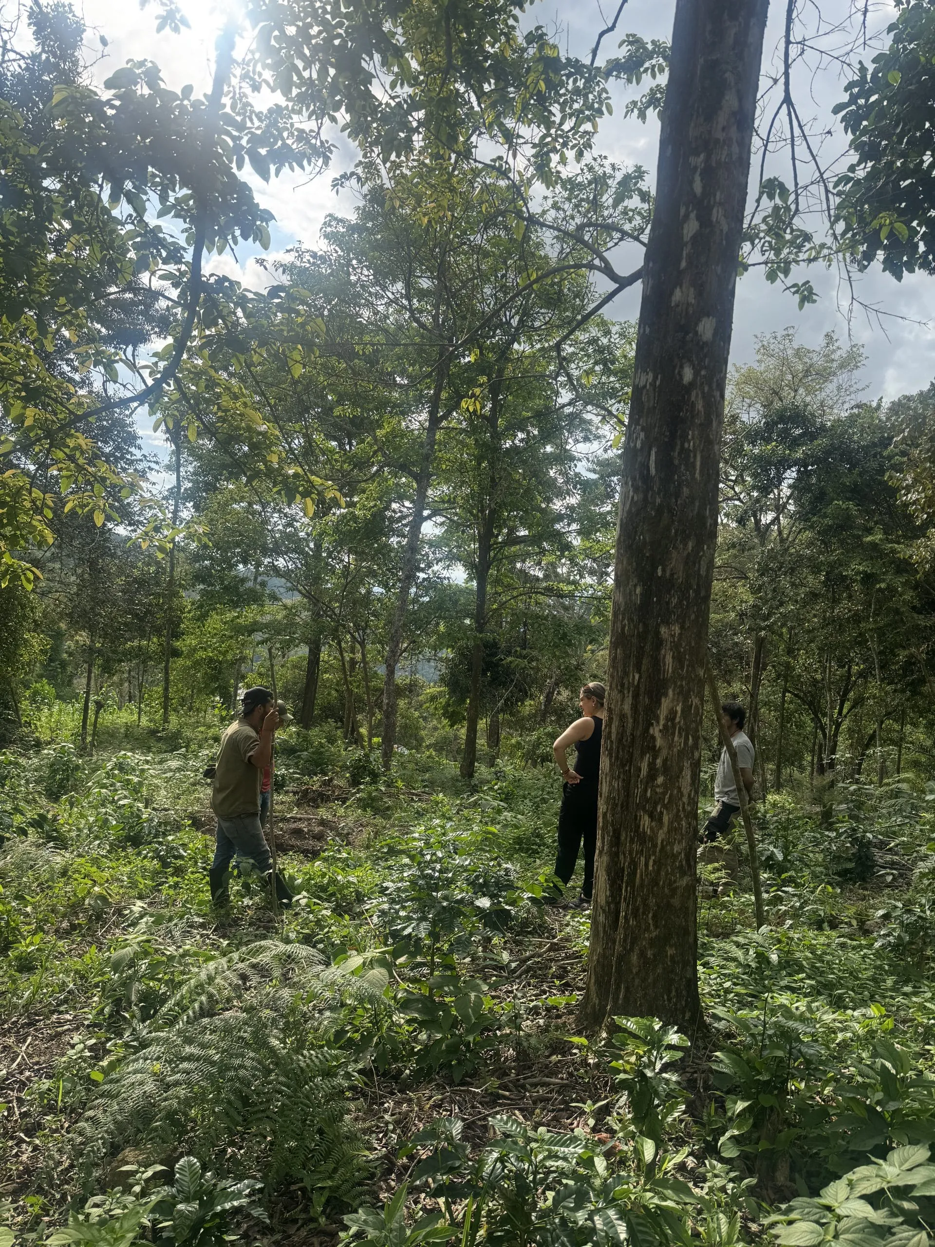 El territorio de Naturconexión en Nilo, Cundinamarca