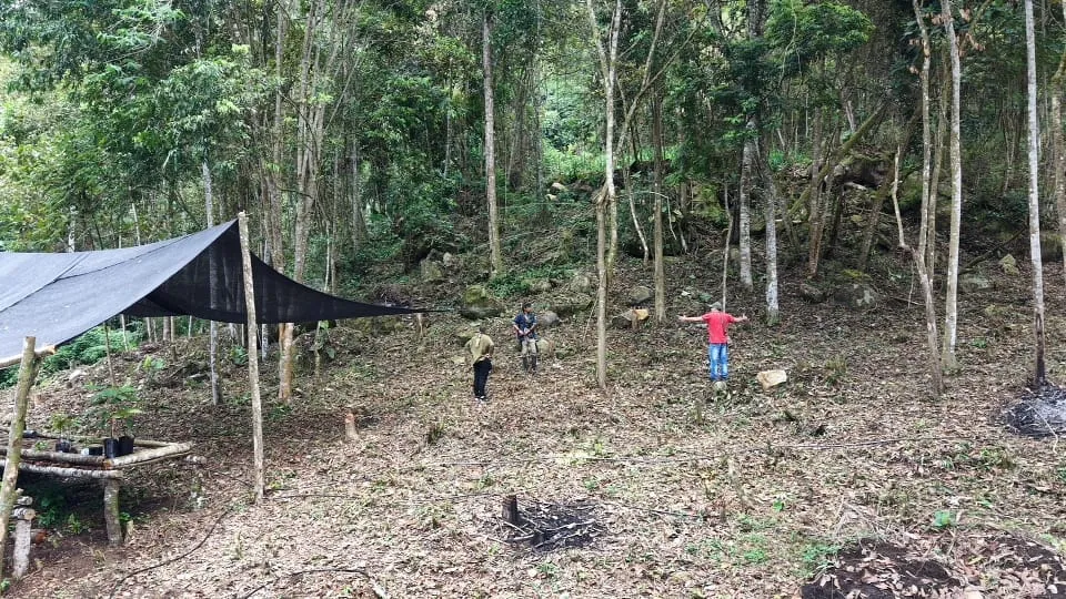 Zona de trabajo en la finca de Naturconexión