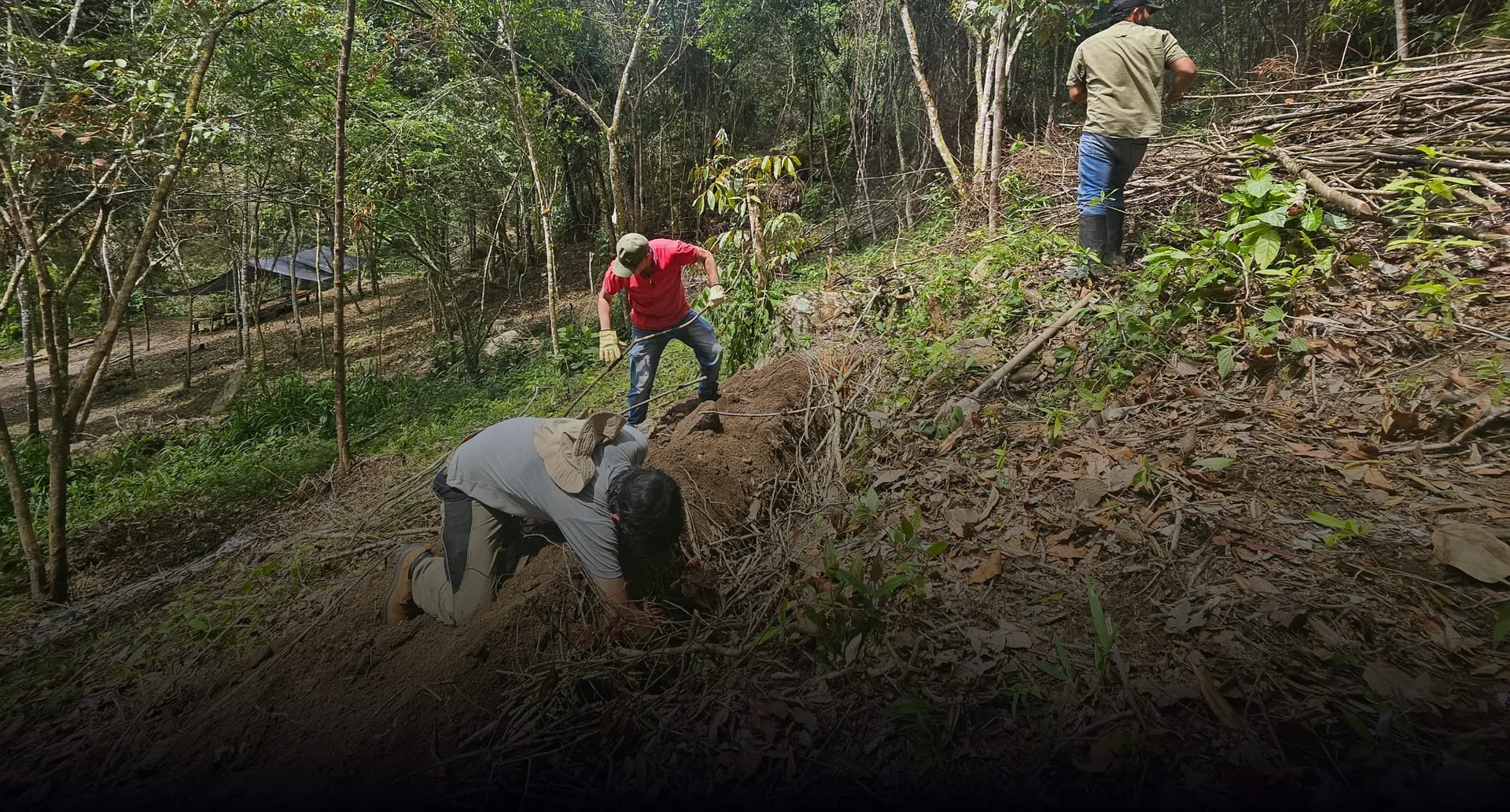 Trabajo de siembra en el territorio de Naturconexión